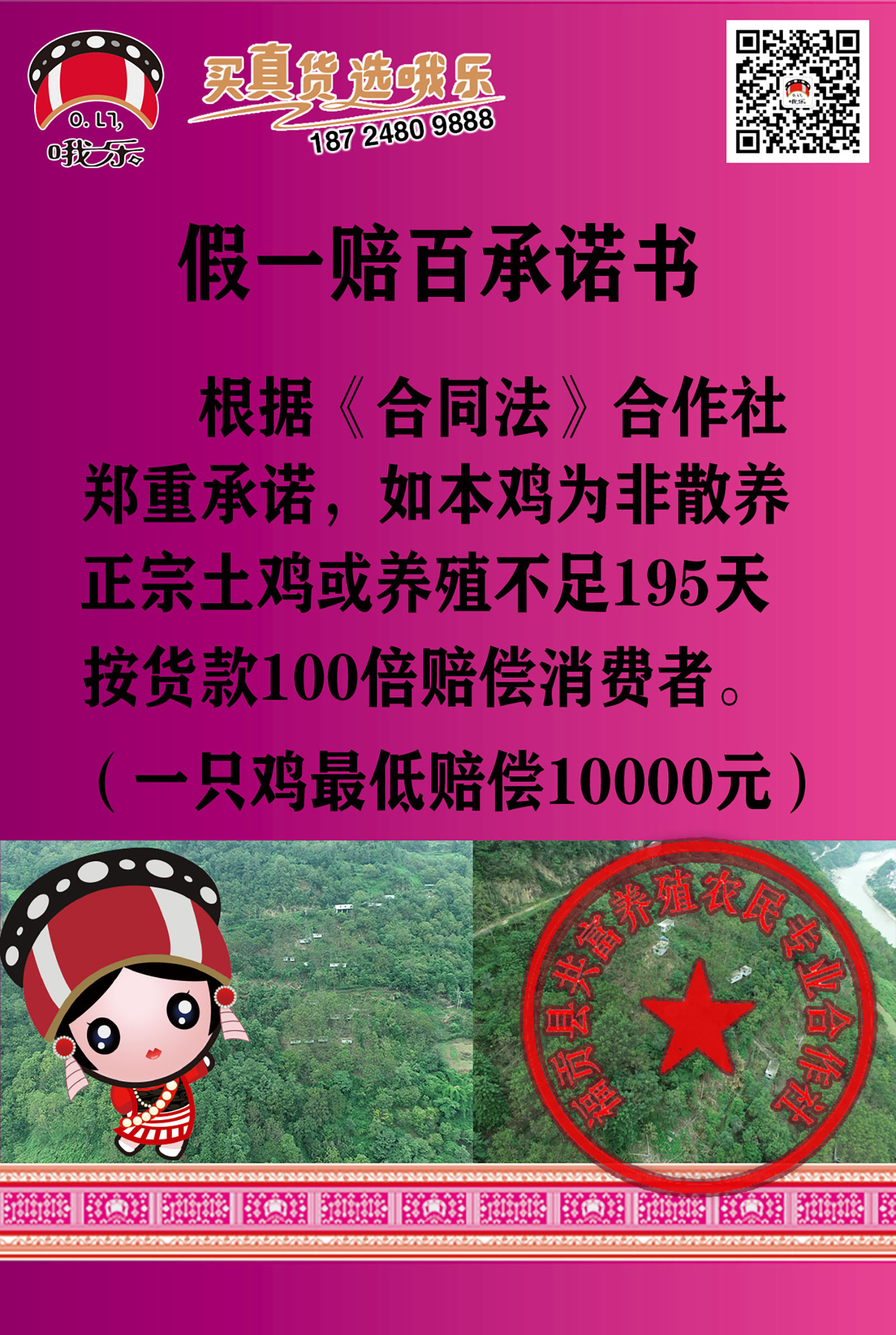 哦乐深山野养土匪鸡