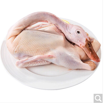 农家散养土鸭 麻鸭去毛水鸭 鸭肉 老鸭子整只装 净重约1.3kg